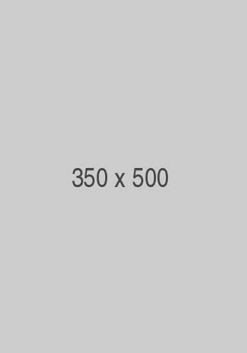 image-widget